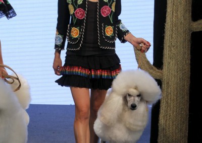 H.Preppy S/S 2015